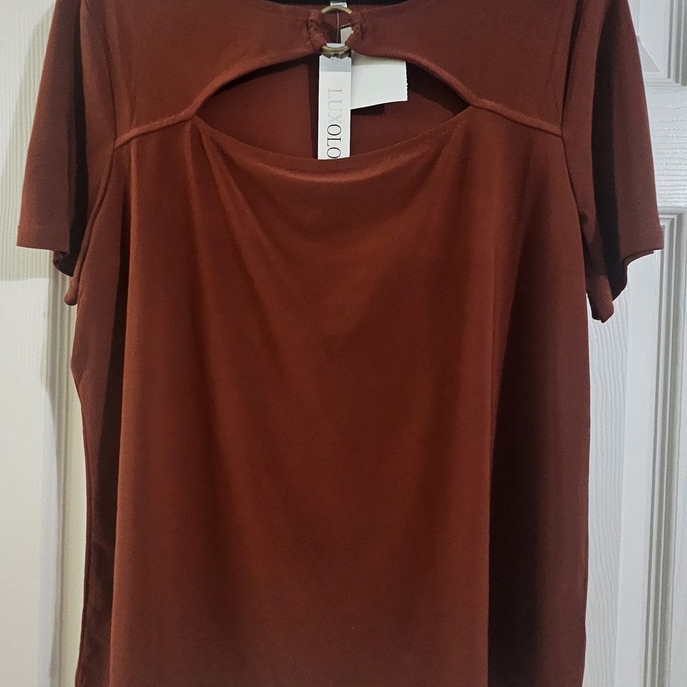 Luxology Rust Blouse